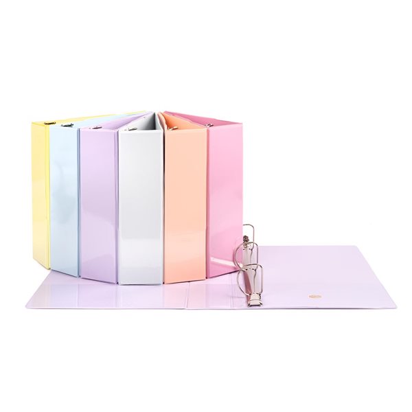 Pastel Binder 2 in