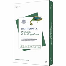 Papier couverture blanc Hammermill Color Copy Cover 100 lb tabloïd