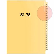 Quest Numerical Litigation Index Dividers 51 to 75