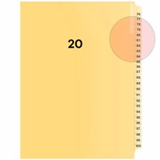 Quest Numerical Litigation Index Dividers 13 to 25 #20