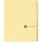 Quest Alphabetical Litigation Index Dividers M to XYZ O