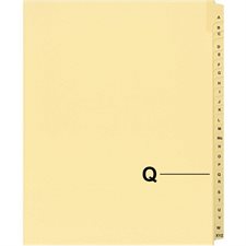 Quest Alphabetical Litigation Index Dividers M to XYZ Q