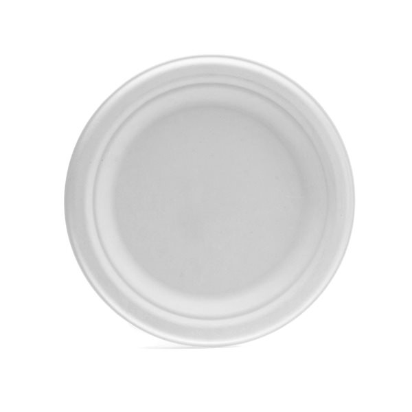 Plant Fiber 10.25 in White Round Plates