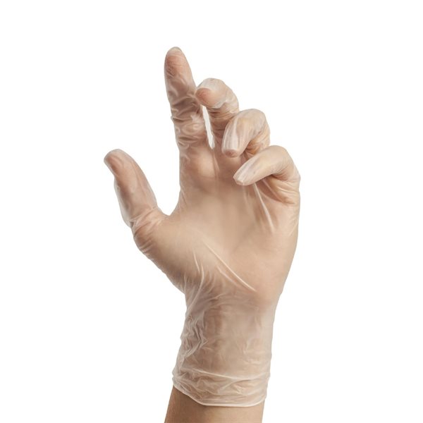 Vinyl Disposable Gloves - Medium