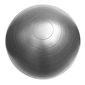 Exercise Ball