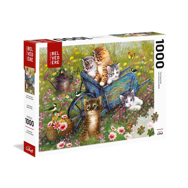 1000 Pieces - Kittens in the Garden Jigsaw Puzzle