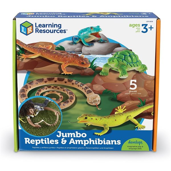 Ensemble de reptiles
