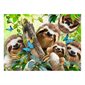 500 Pieces – Sloth Selfie Jigsaw Puzzle