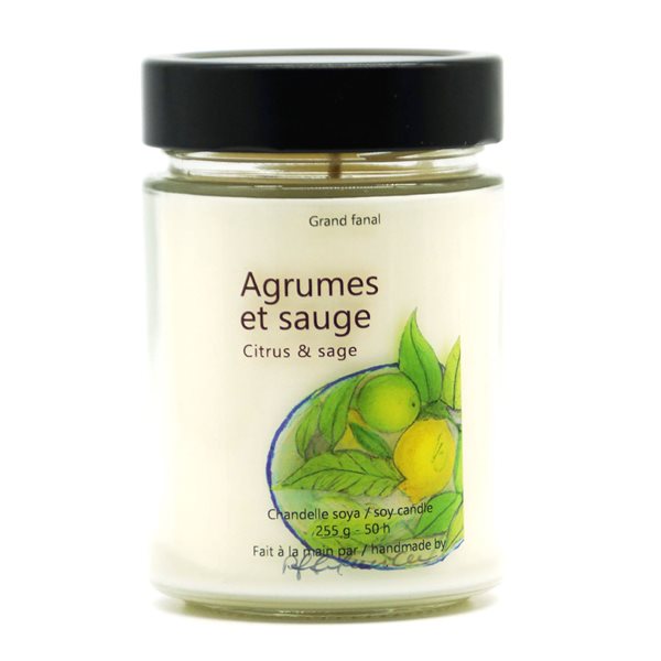 Bougie de soya Agrumes et sauge