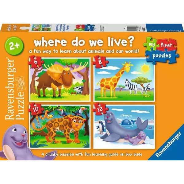 Where do we Live ? Children’s Puzzle