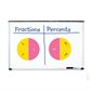 Double-Sided Magnetic Demonstration Rainbow Fraction® Circles