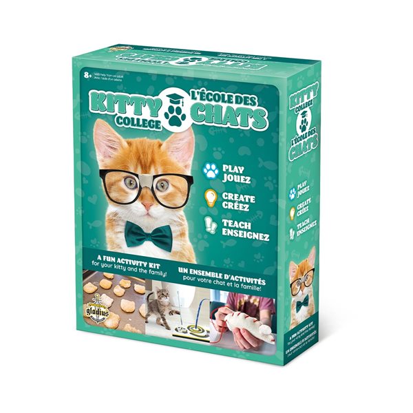 Kitty College Training Game