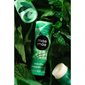 Baume à lèvres naturel 9 g - Menthe