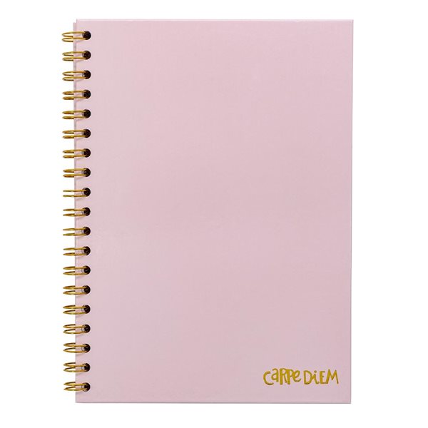 Carpe Diem Notebook - Ballerina Pink