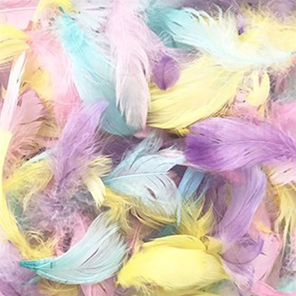 Plumes couleurs pastel