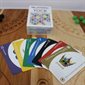Cartes pour jouer au Tock