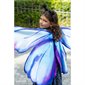 Ailes de papillon mythique