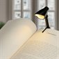 Desk And Reading Lamp - Shady Business