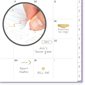 Workstyle™ Focus 2026-2027 Weekly / Monthly Academic Planner - Lilac Colour