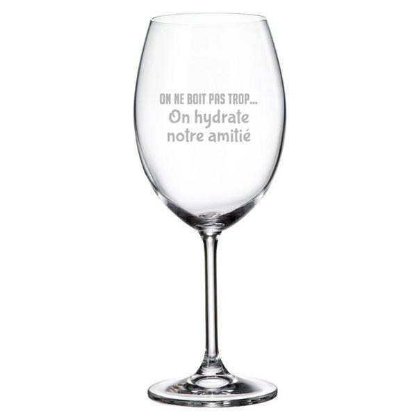 Verre à vin gravé 20 oz - On ne boit pas trop... On hydrate notre amitié