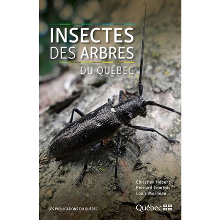 Insectes des arbres du Québec