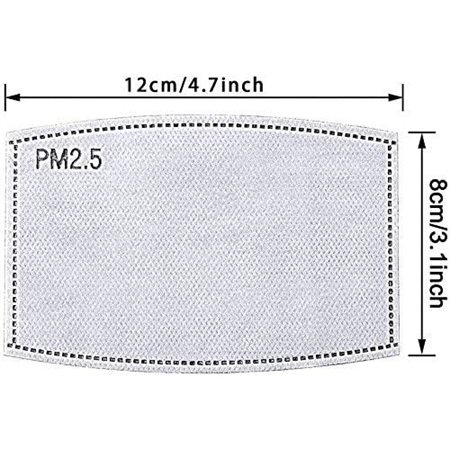 Filtres pour masque PM2.5 (Paquet de 2)