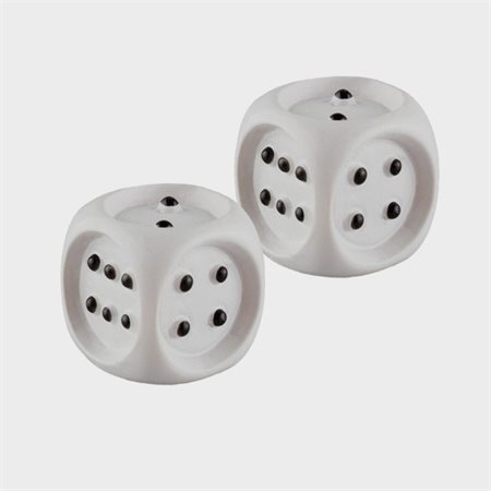 20 mm Tactile Dice for Blind and Low-Vision Players