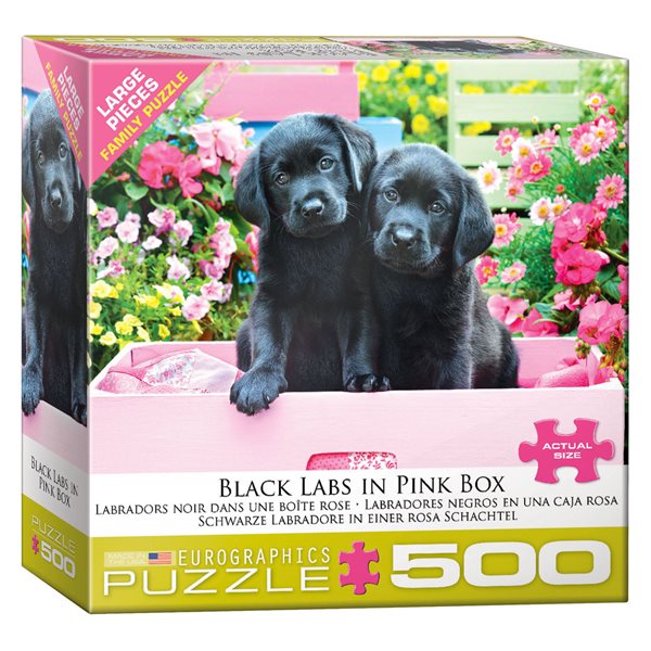 Casse-tête 500 morceaux - Labradors noirs dans un boîte rose