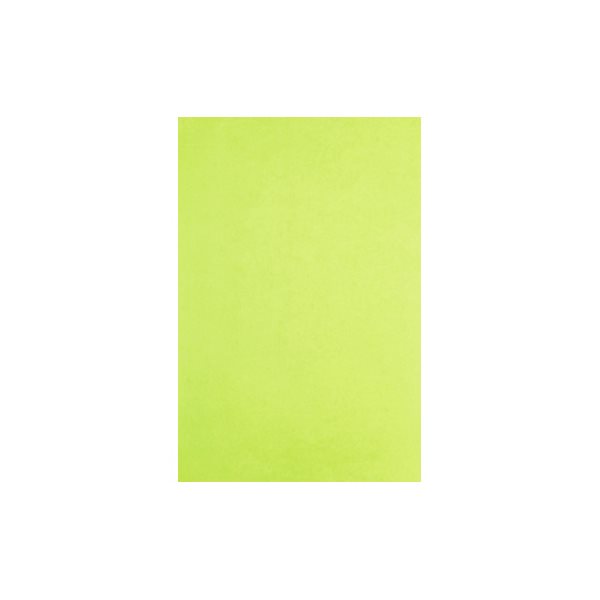 Silk Paper 8 sheets - Apple Green