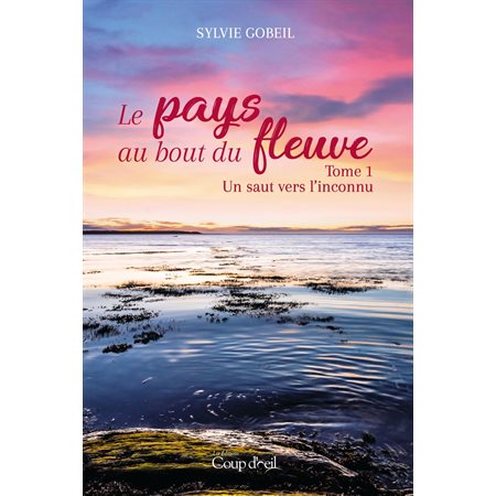 Un saut vers l'inconnu, Tome 1, Le pays au bout du fleuve