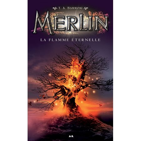La flamme éternelle, Tome 11, Merlin