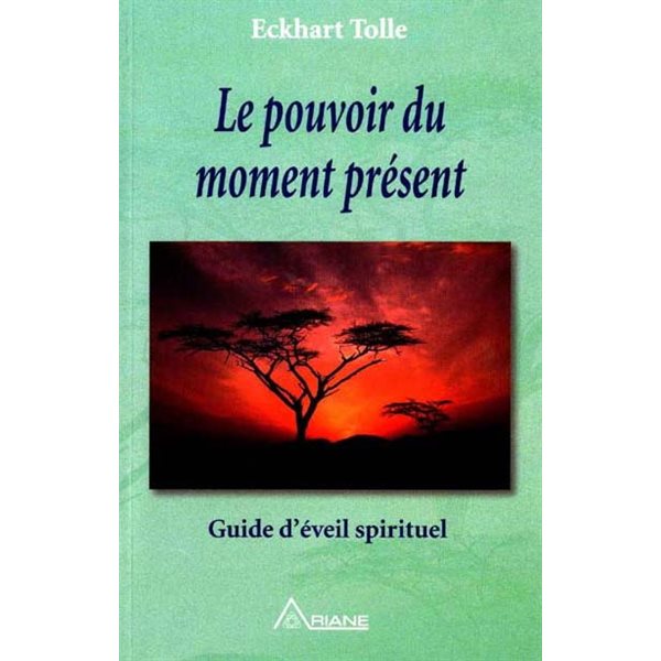 Pouvoir du moment présent (Le)