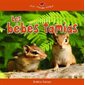 Bébés tamias (Les)