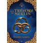 Les trésors de Merlin, Tome 2, Le secret des druides