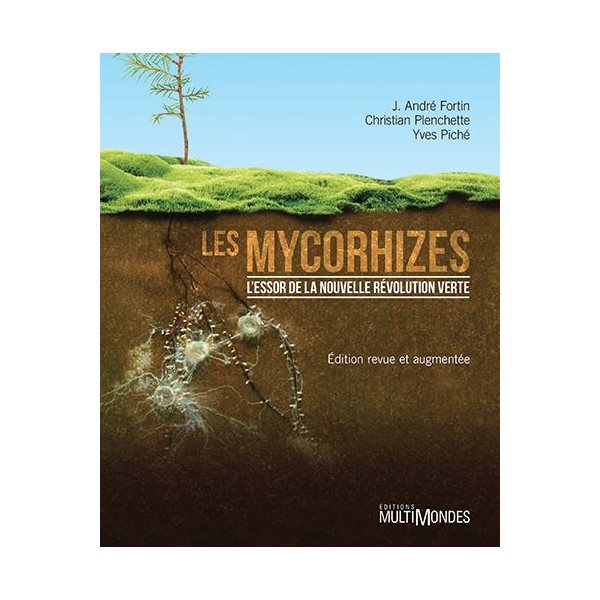 Les mycorhizes