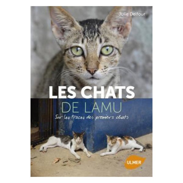 Les chats de Lamu