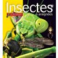 Insectes et araignées