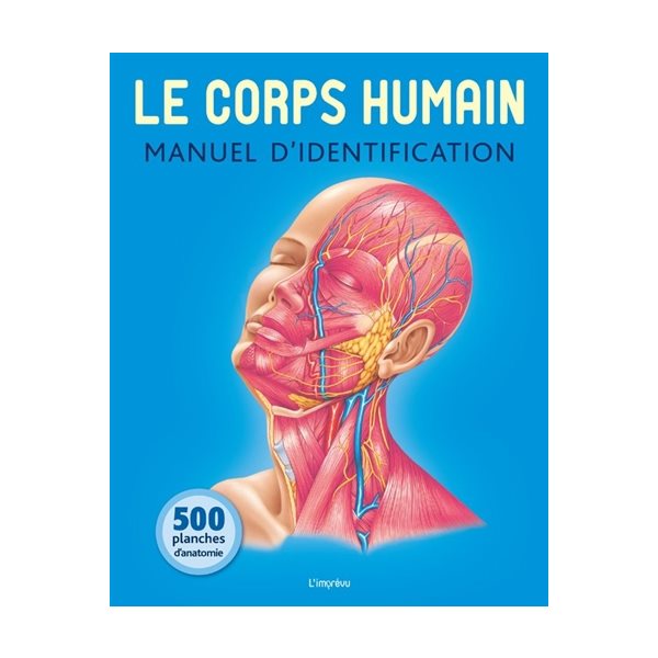 Le corps humain
