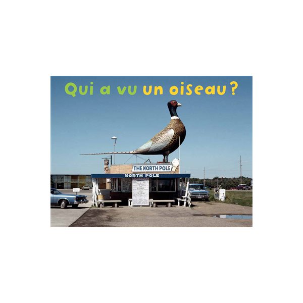 Qui a vu un oiseau ?