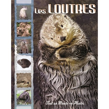 Les loutres