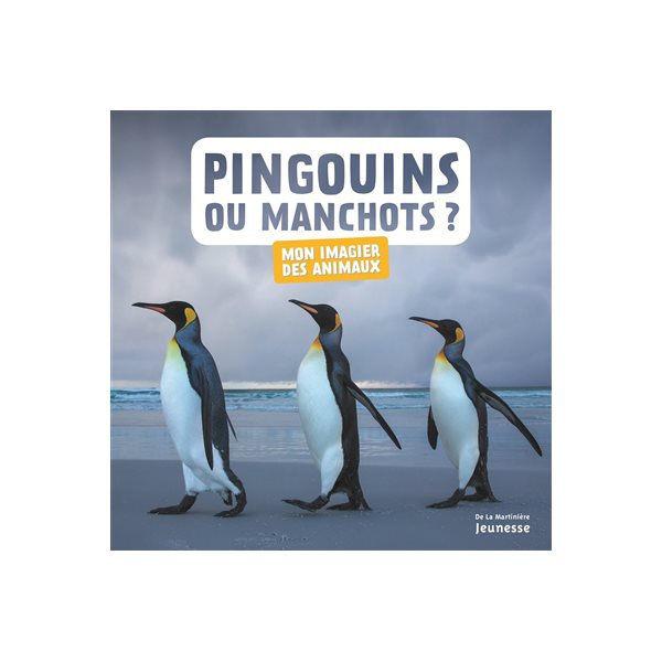 Pingouins ou manchots ?