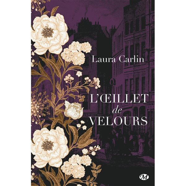 L'oeillet de velours