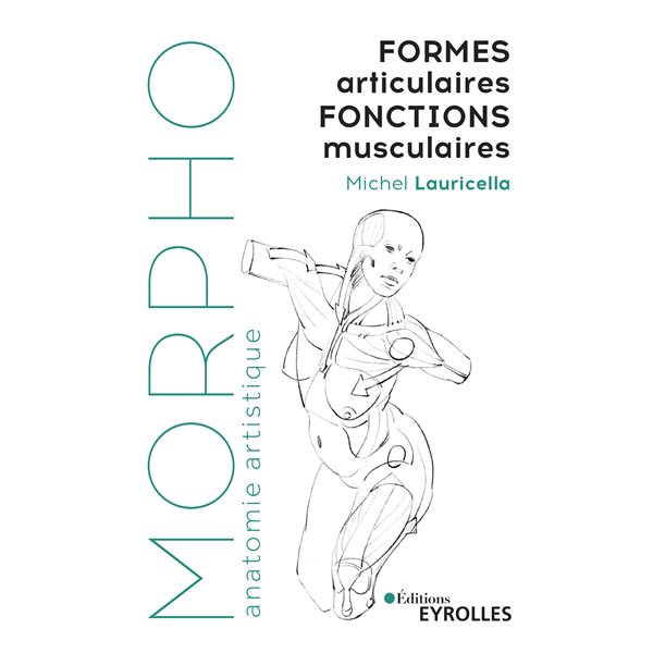 Formes articulaires, fonctions musculaires