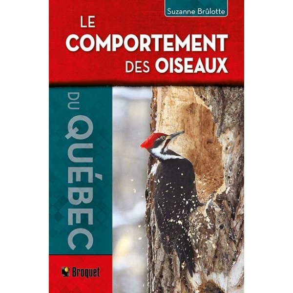 Le comportement des oiseaux du Québec