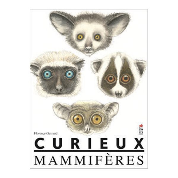 Curieux mammifères