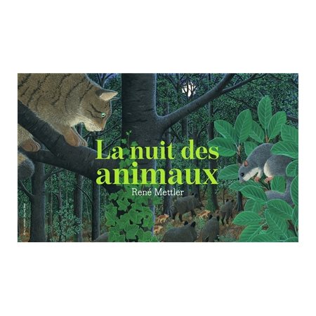 La nuit des animaux