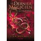 Les cinq artéfacts, Tome 2, Le dernier magicien