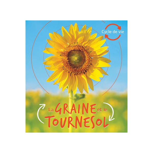 La graine et le tournesol