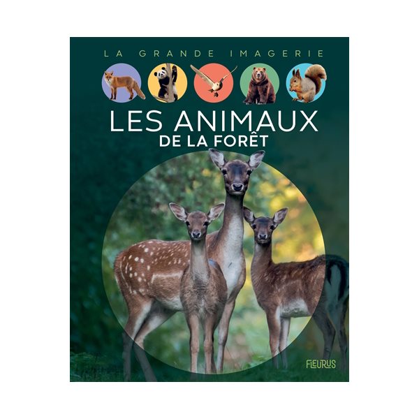 Les animaux de la forêt