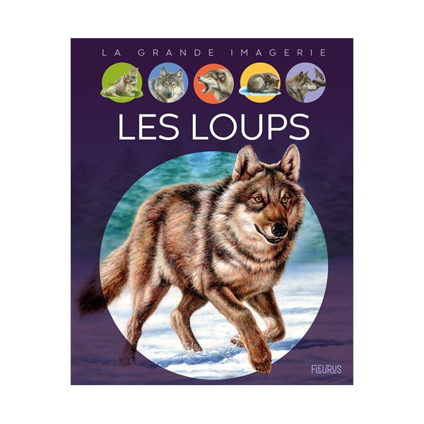 Les loups
